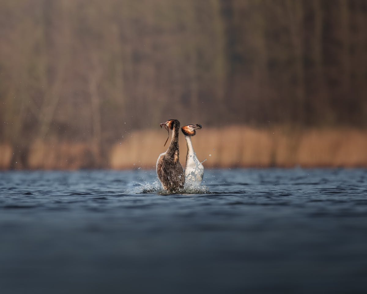 Foto: TimRensing