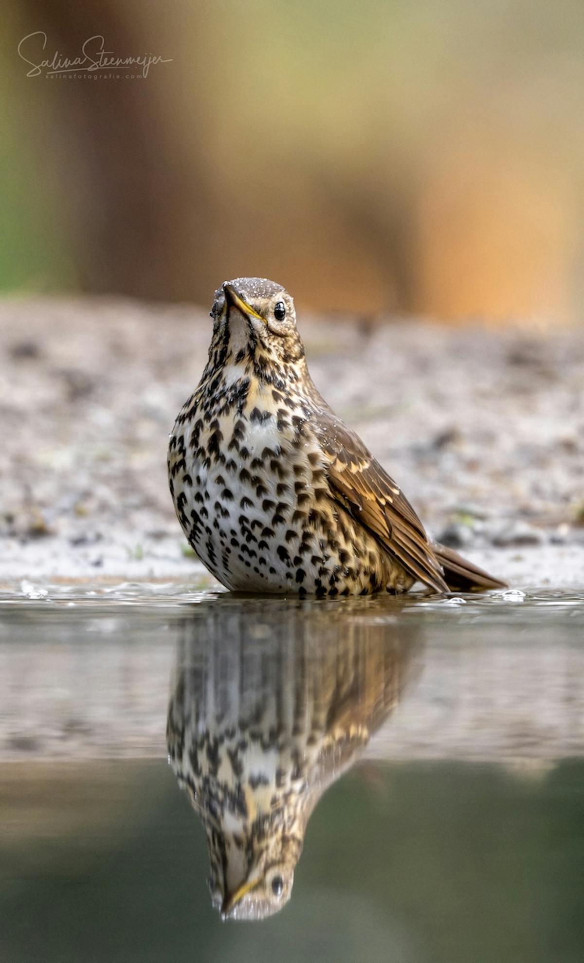 Foto: Salina-Fotografie