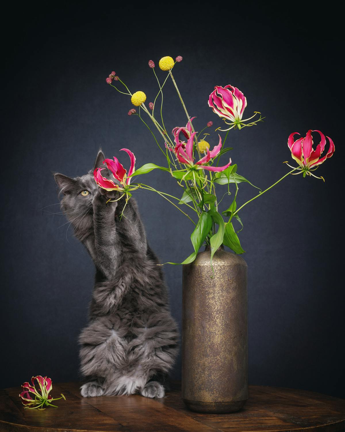 Foto: mirkakootfotografie