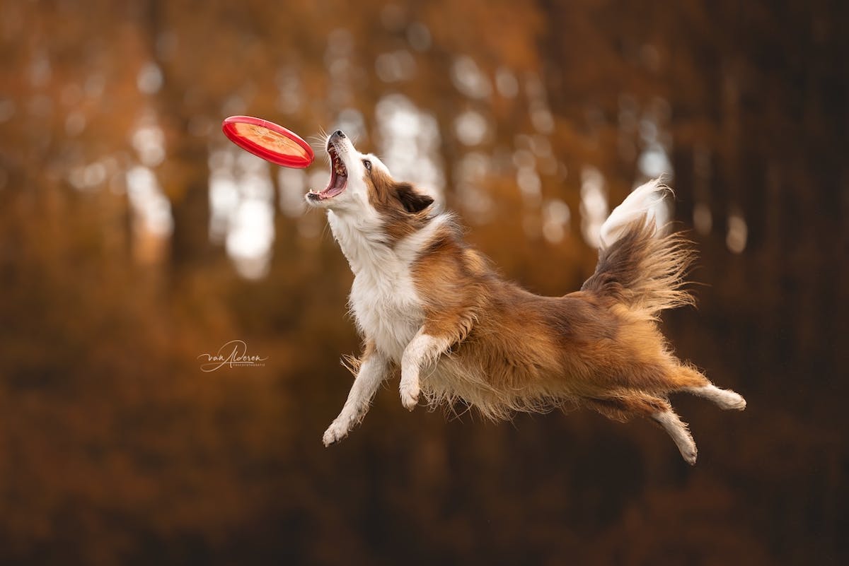 Foto: FoscoFotografie