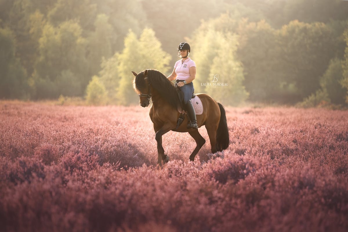 Foto: Laura Dijkslag