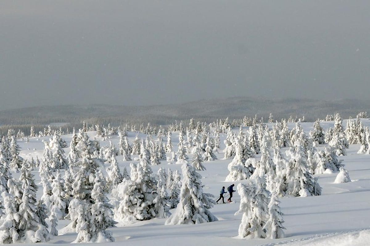 Foto: Nordview