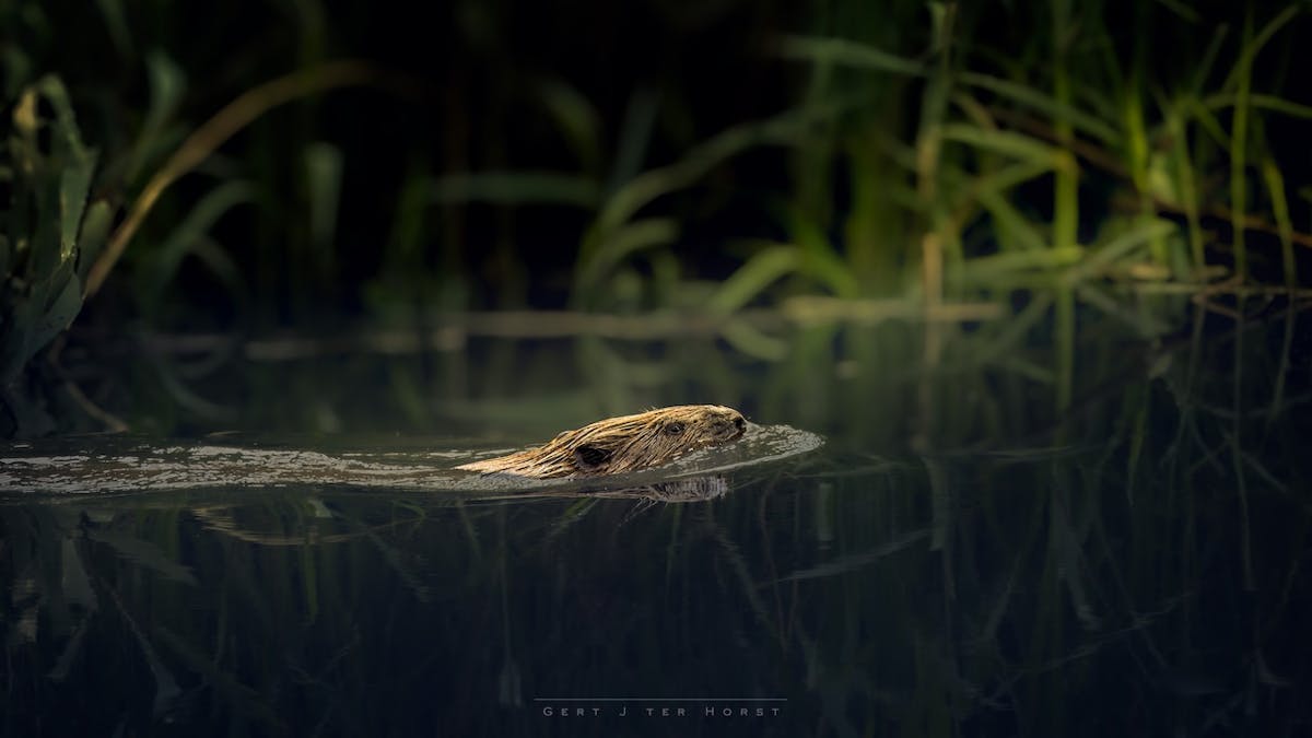Foto: Gertj123