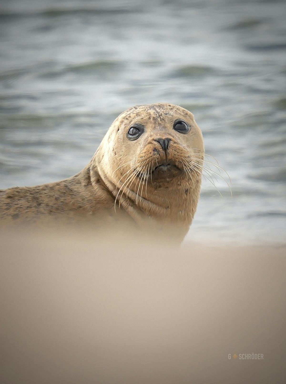 Foto: Geraldschroder