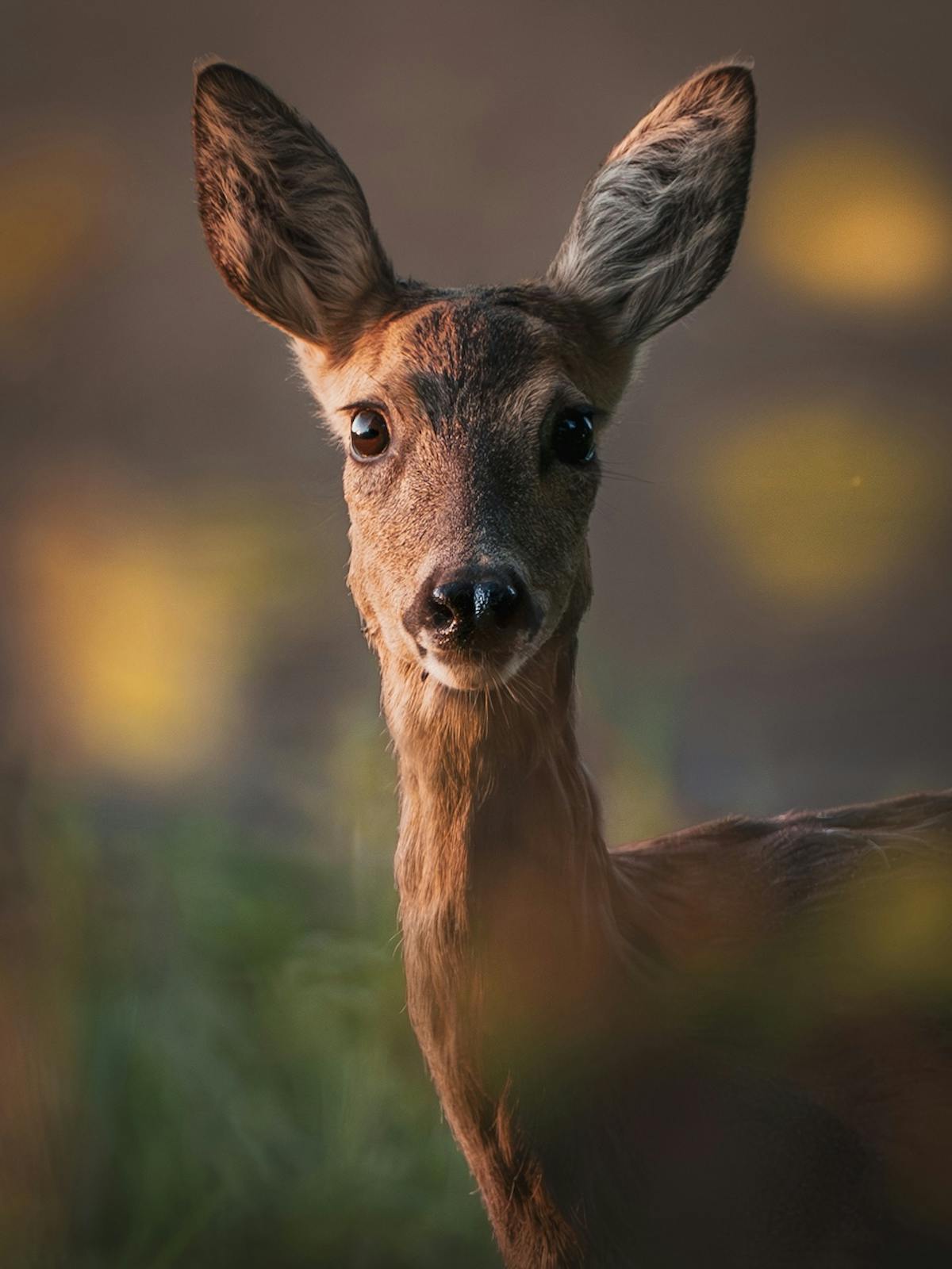 Foto: milousphotos