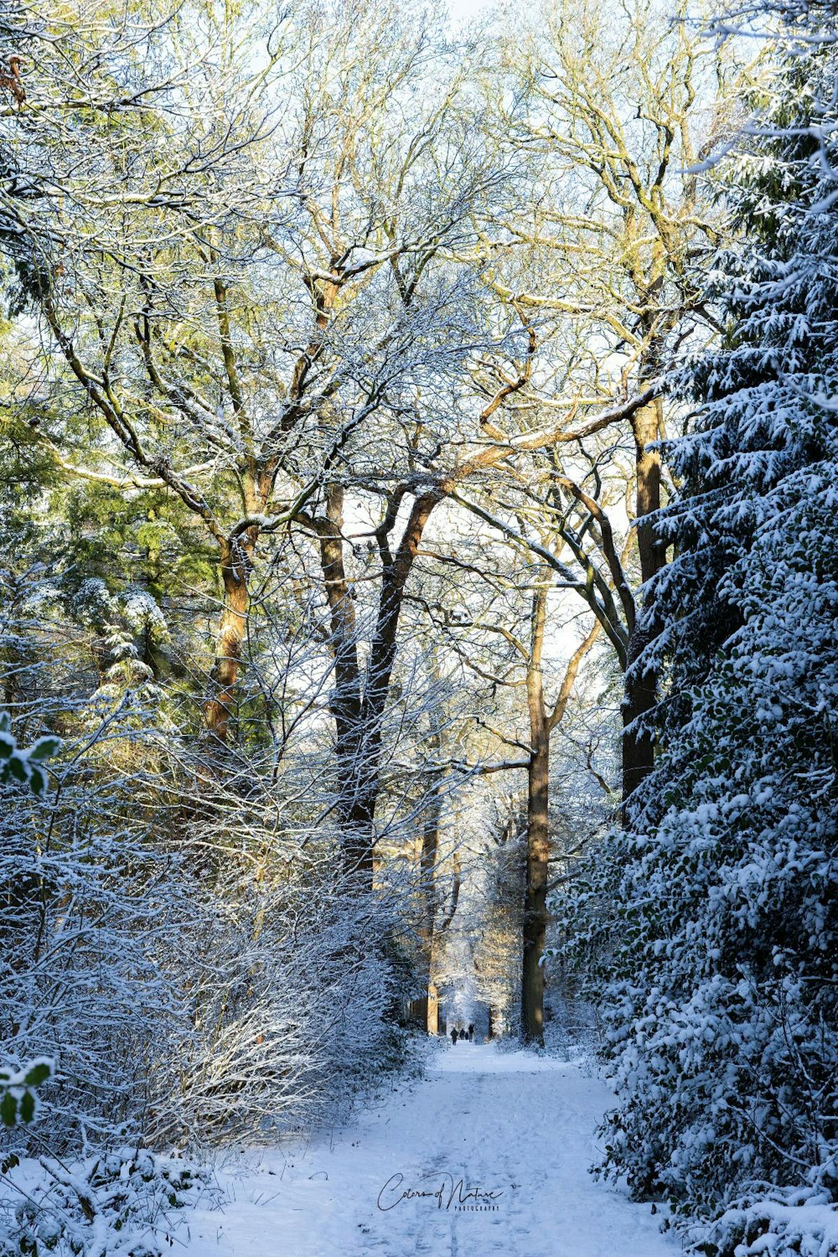 colorsofnaturephotography.zoom.nl