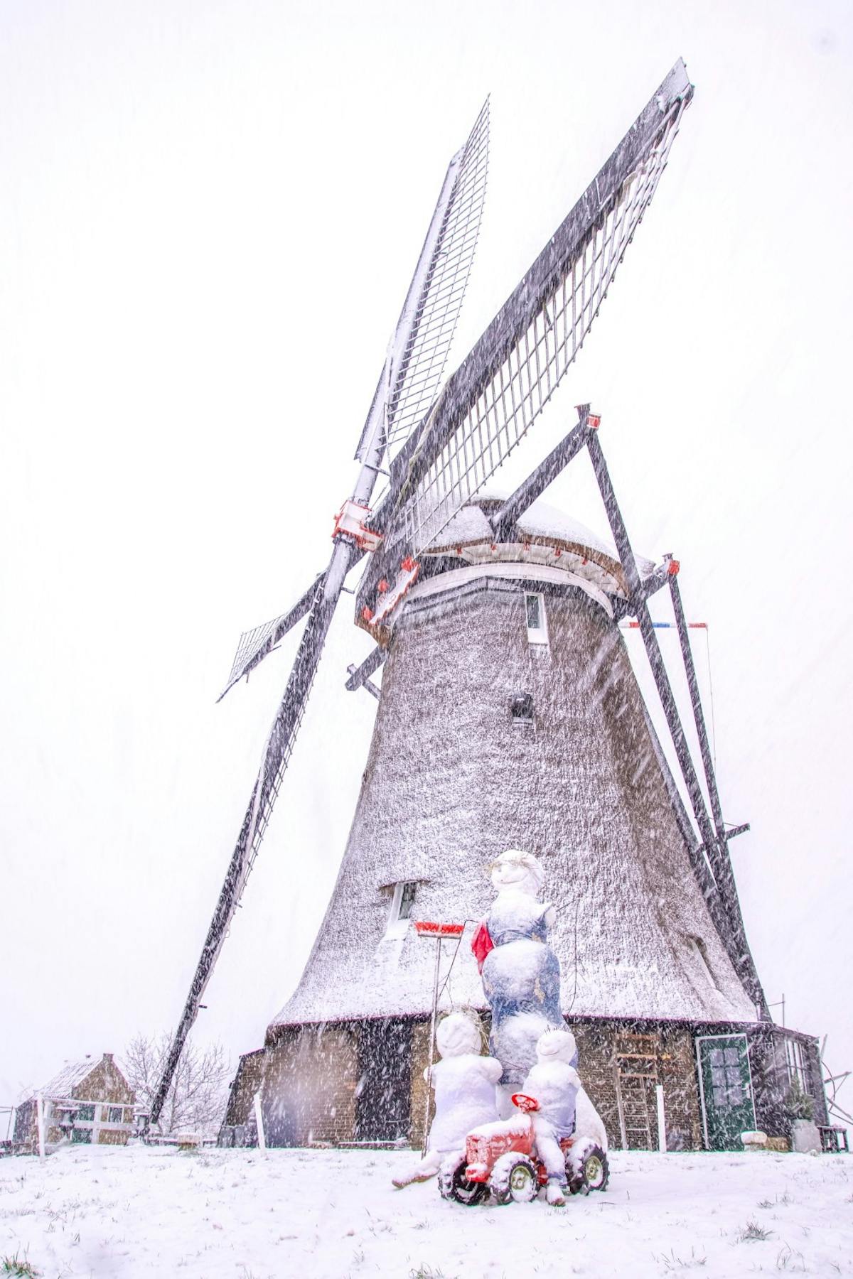 dwarsie.zoom.nl