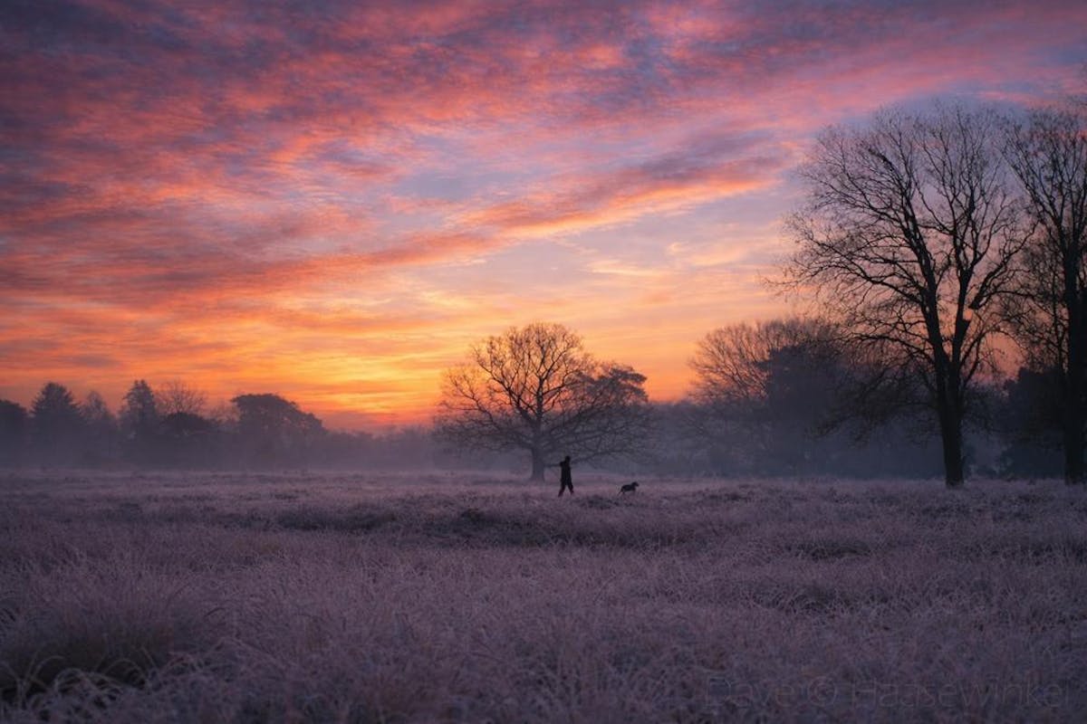 Foto: DaveHaasewinkel