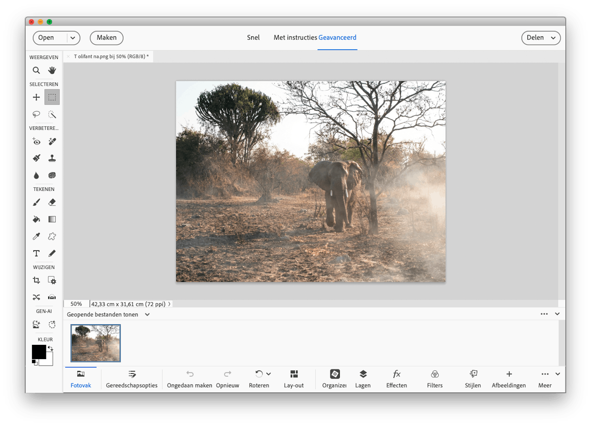 (Adobe Photoshop Elements 2026)