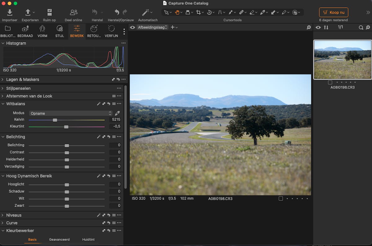 (Capture One Pro)