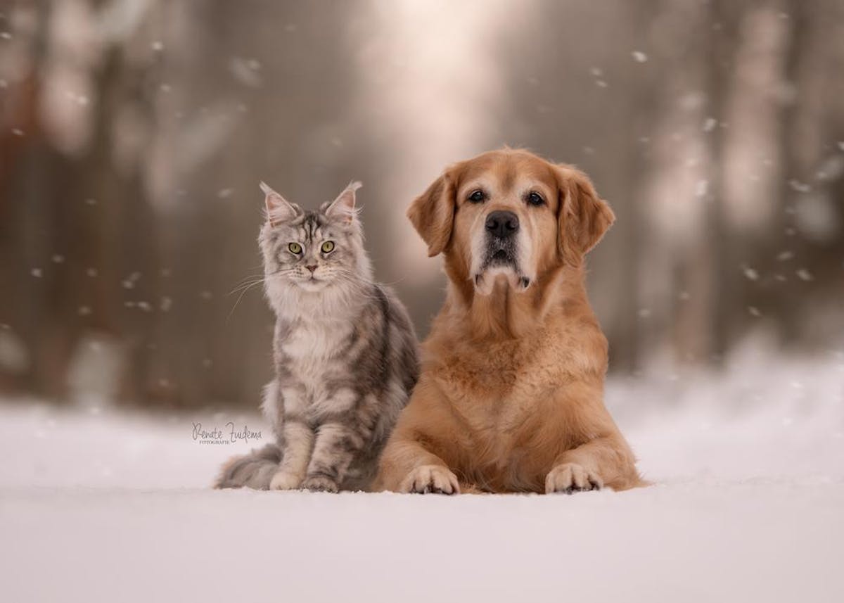 Foto: RenateZuidemaFotografie - ISO 100 · ƒ/1.4 · 1/1000s · 105mm