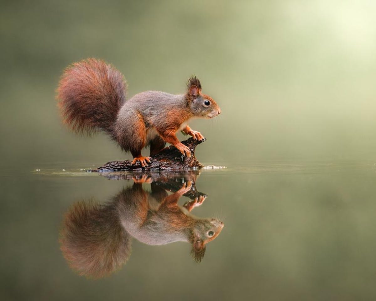 Foto: YBFOTO