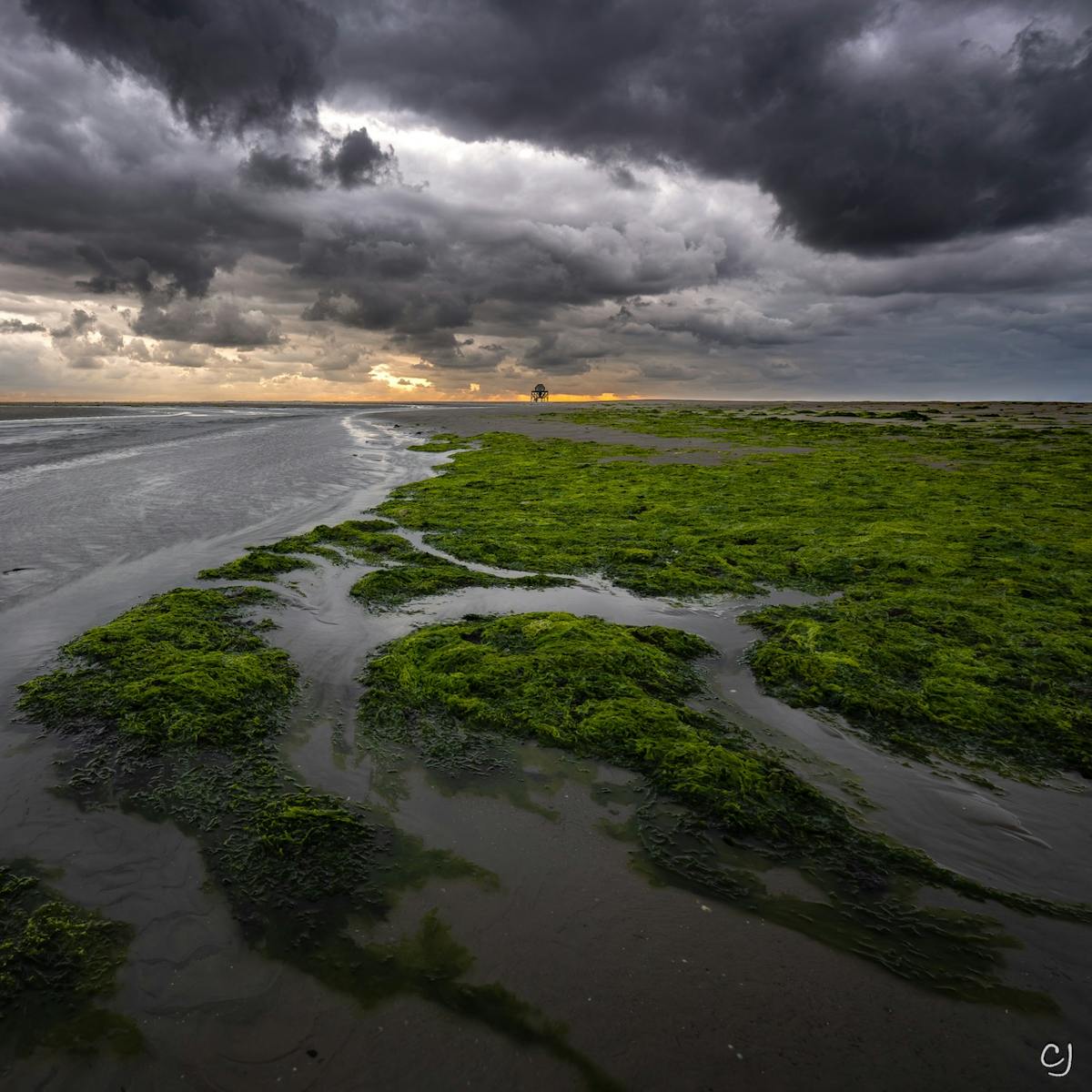 Foto: ColetteJansen