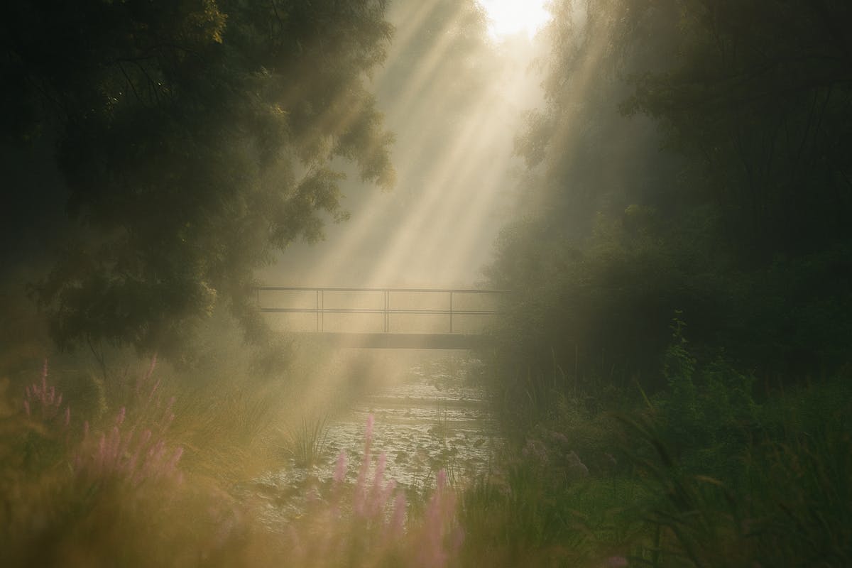 Foto: DaveHaasewinkel