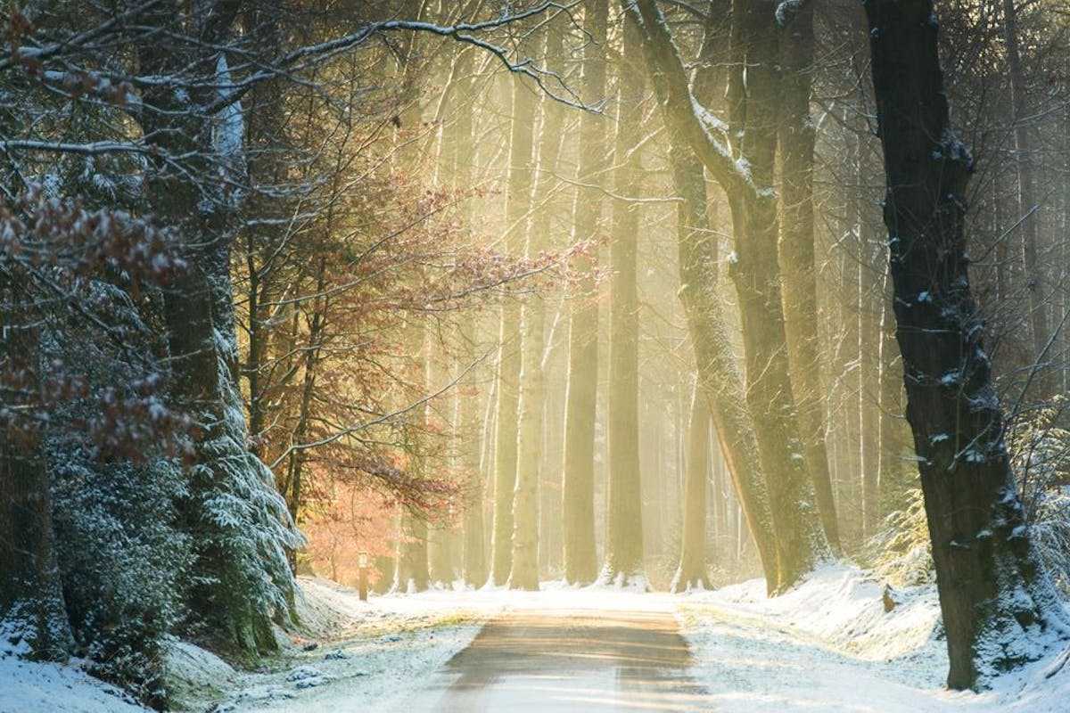 Foto: renewolf_zoom - ISO 640 · ƒ/4 · 1/210s · 137.5mm