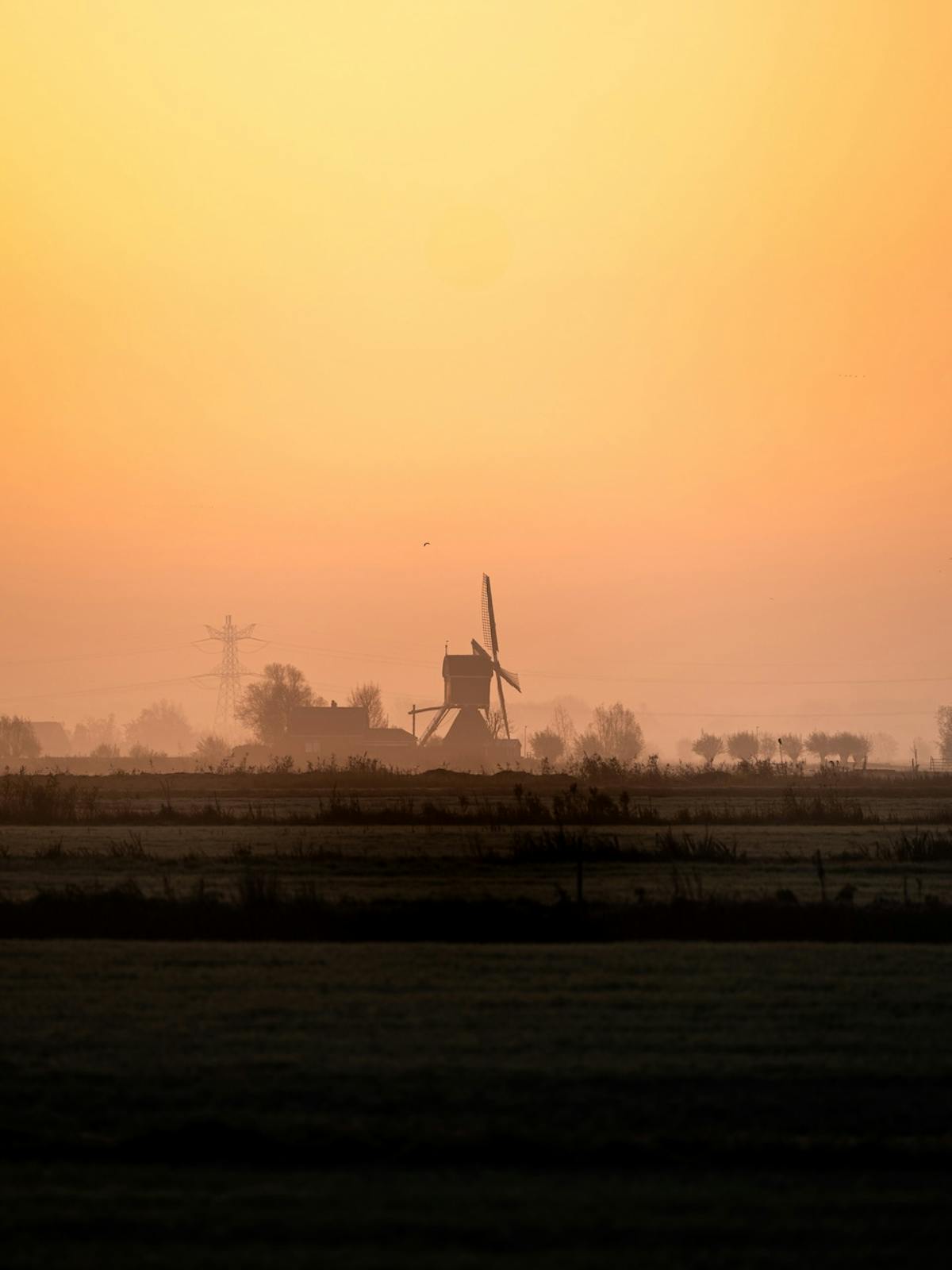 Foto: mitevisuals