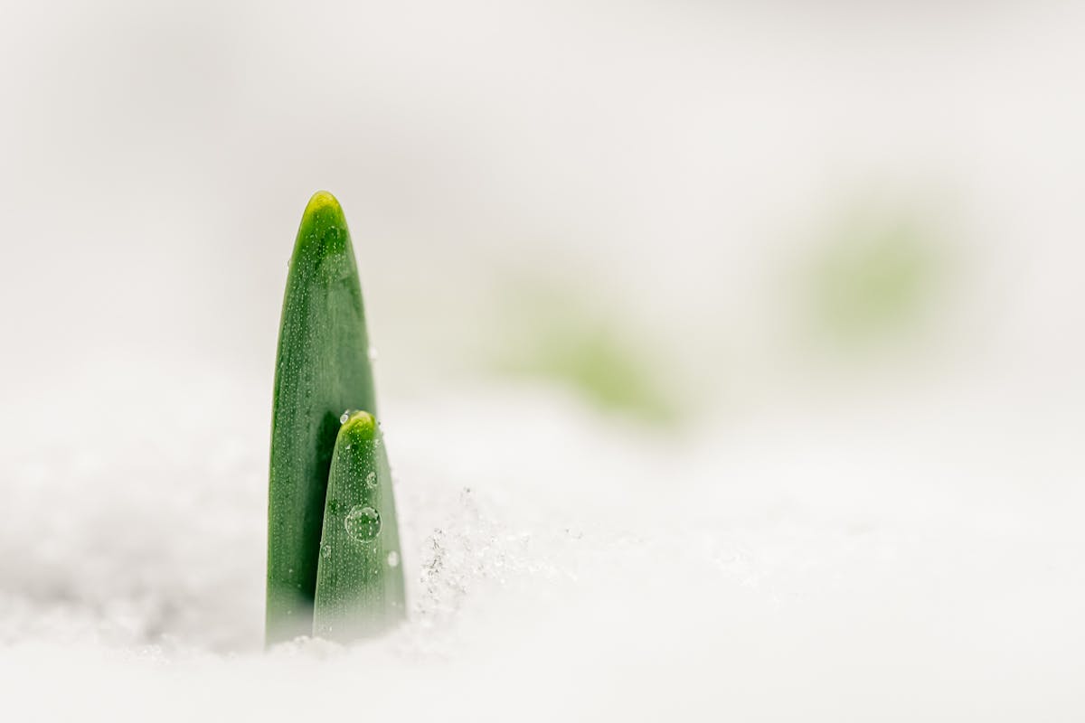 Foto: jrvanalphen
