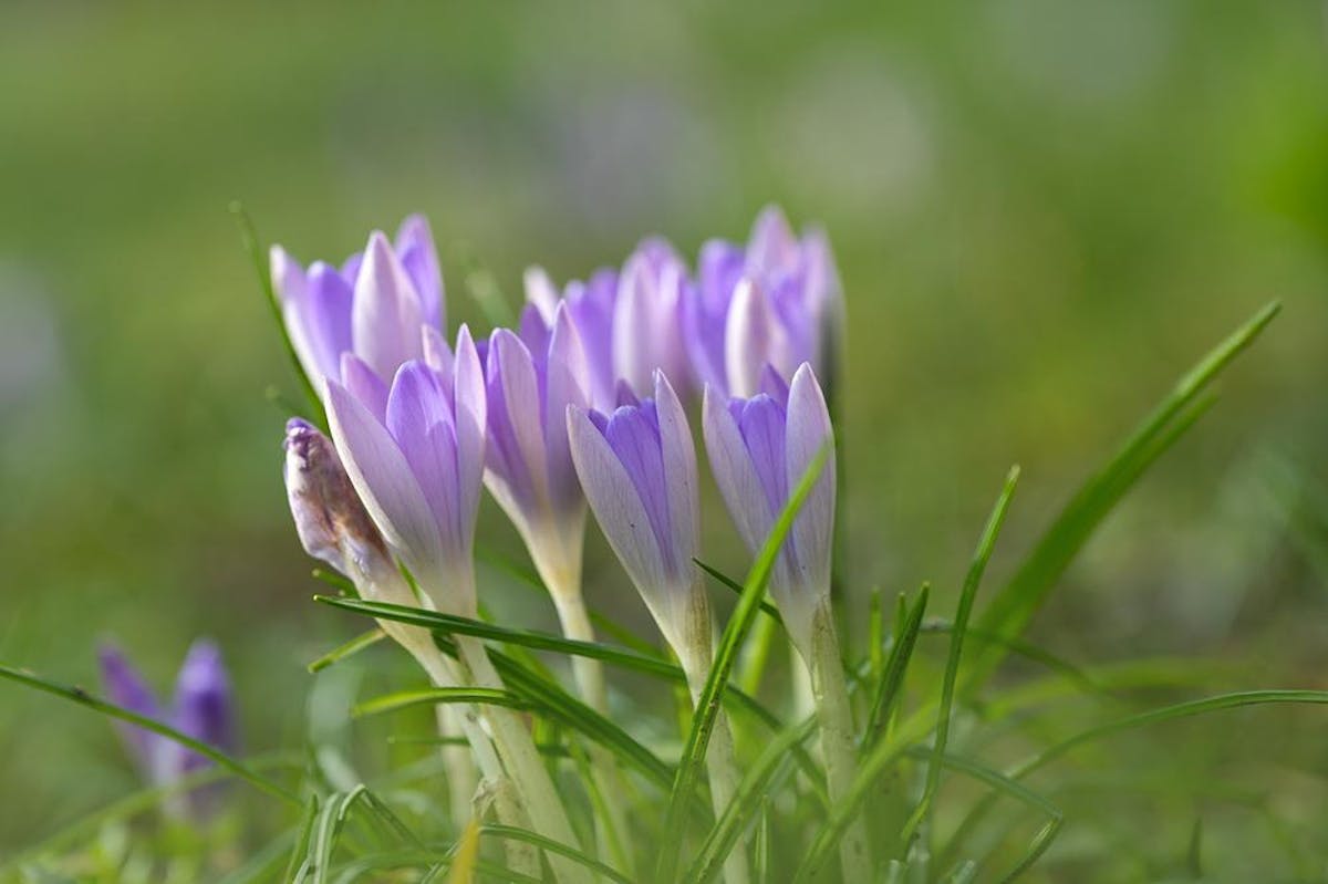 Foto: fotograaf-2 - ISO 200 · ƒ/4 · 1/1000s · 103mm