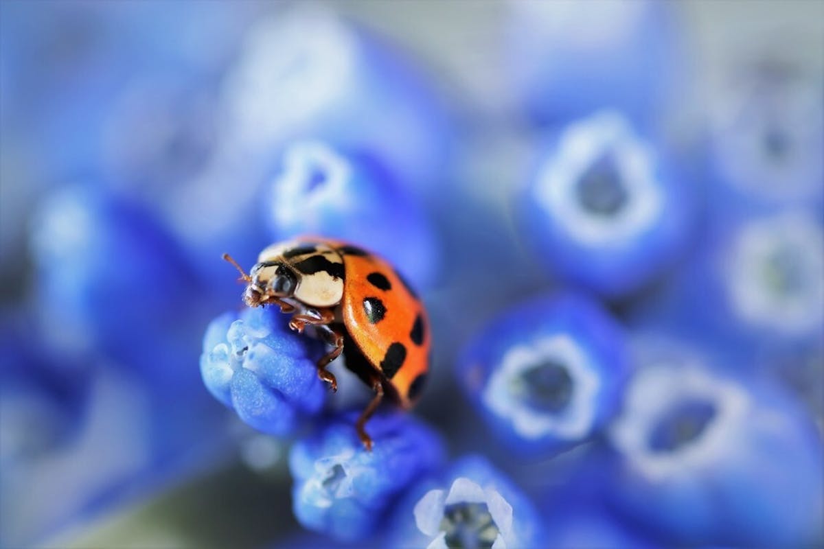 Foto: mieke58