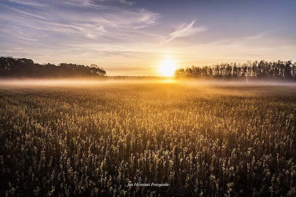 Foto: Jannemanneke