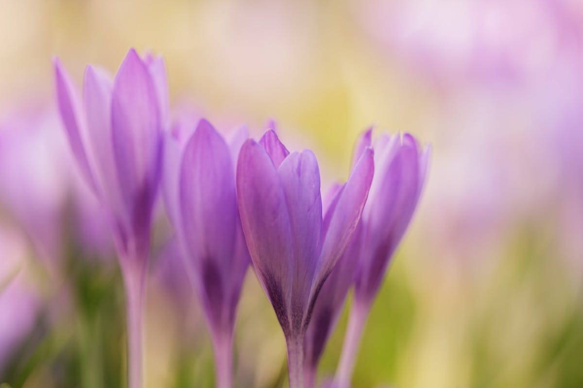 Foto: machtelien