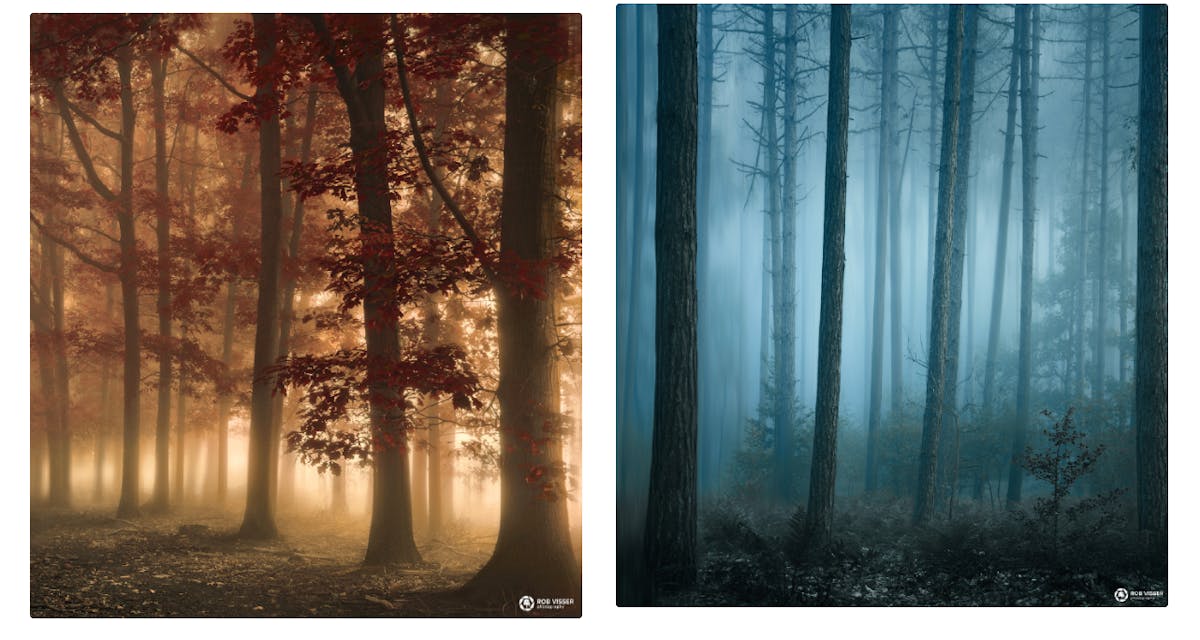 Deze twee foto’s laten duidelijk het verschil in kleurtempratuur zien en het effect daarvan. Foto’s: Rob Visser