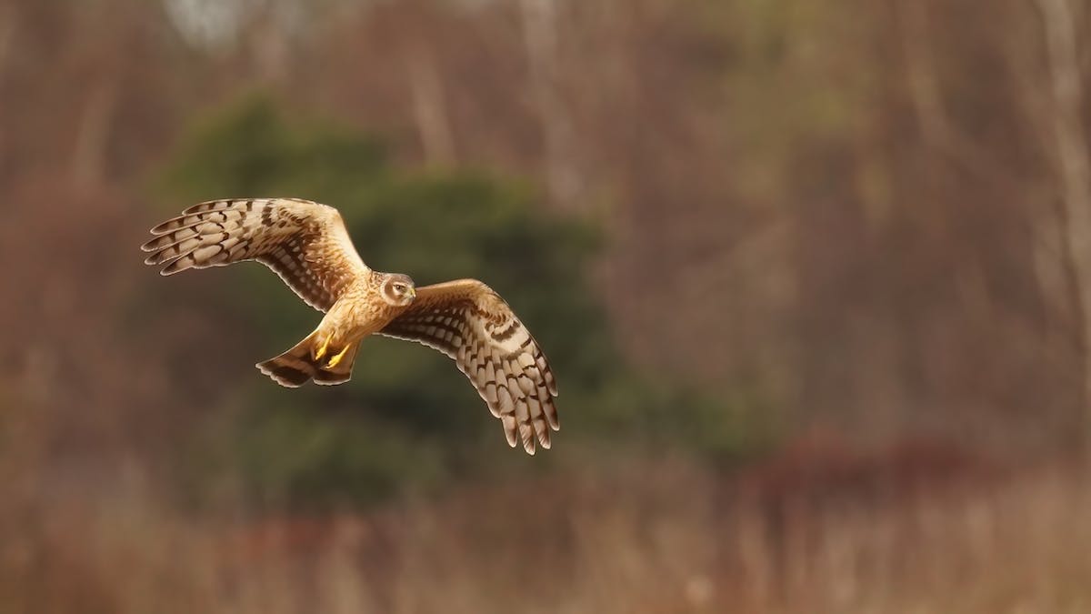 Foto: Ruud63