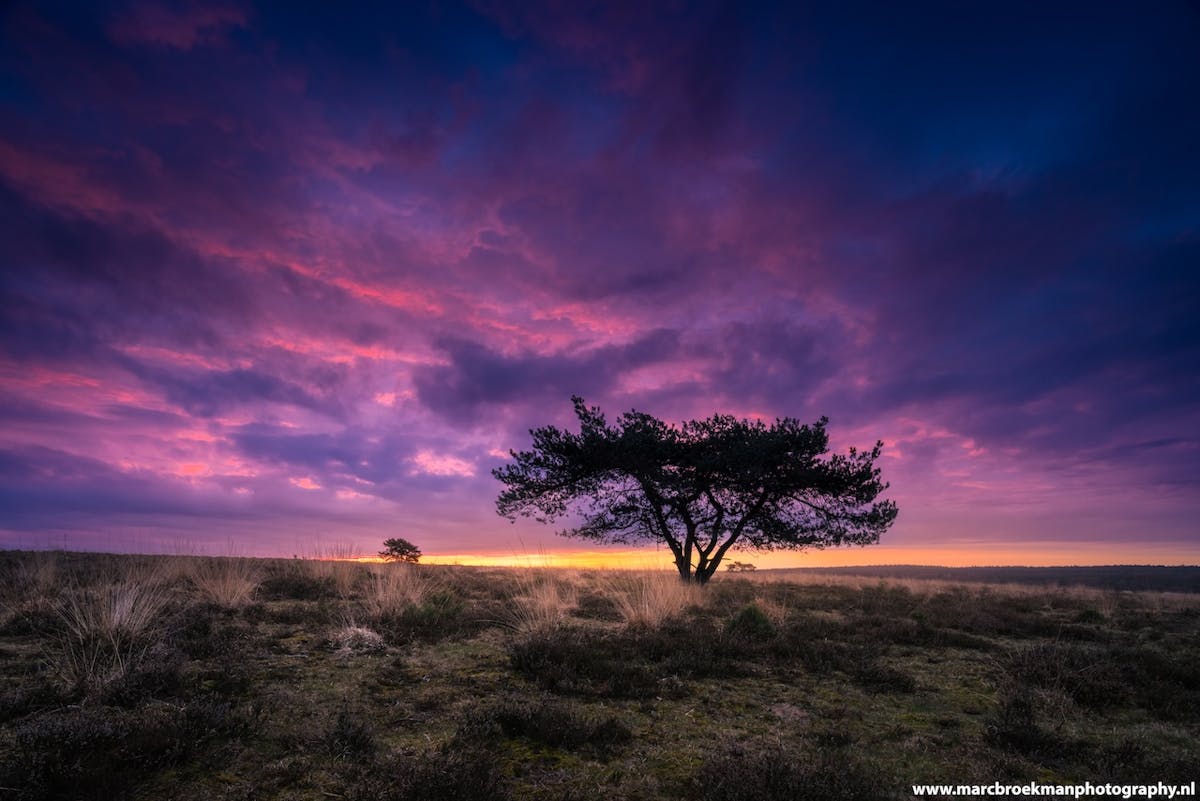 Foto: marcbroekmanphotography