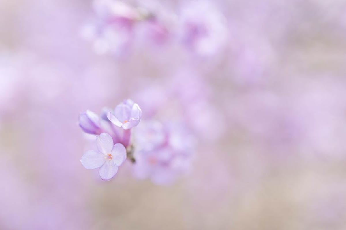 Foto: Dymfna - ISO 125 · ƒ/2.8 · 1/500s · 35mm