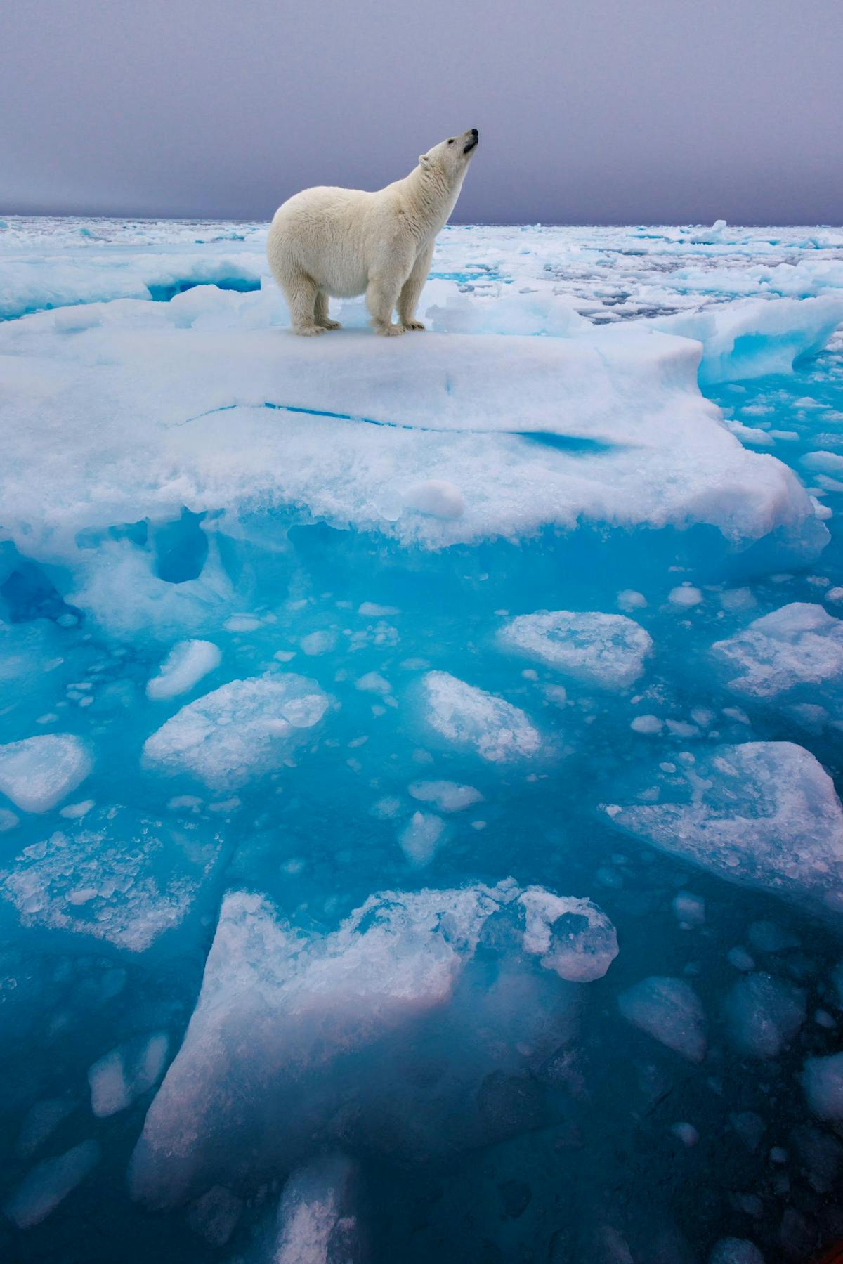 © Wouter van Hofwegen, Netherlands, Shortlist, Open Competition, Natural World & Wildlife, 2026 Sony World Photography Awards -