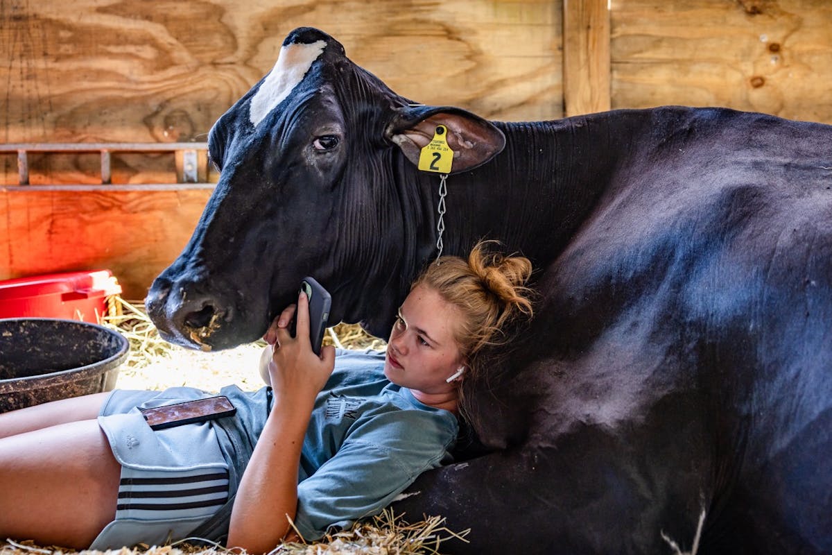 © Vanta Coda III, United States, Winner, Open Competition, Lifestyle, Sony World Photography Awards 2026