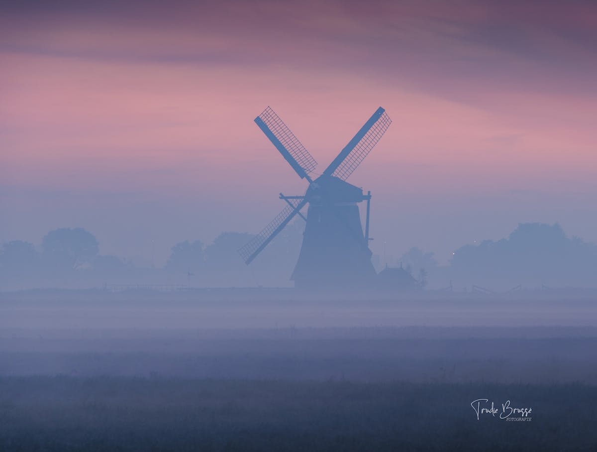 Foto: TrudieFotografie