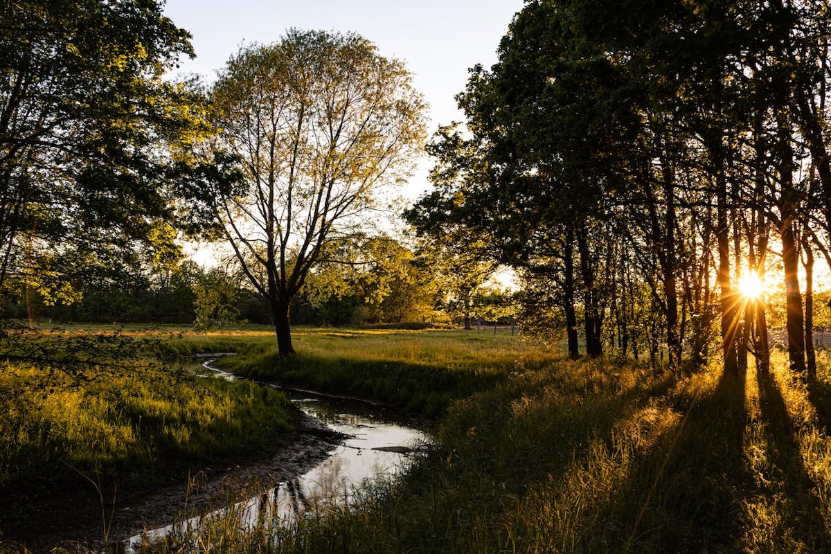 Foto: Kijkmetjans