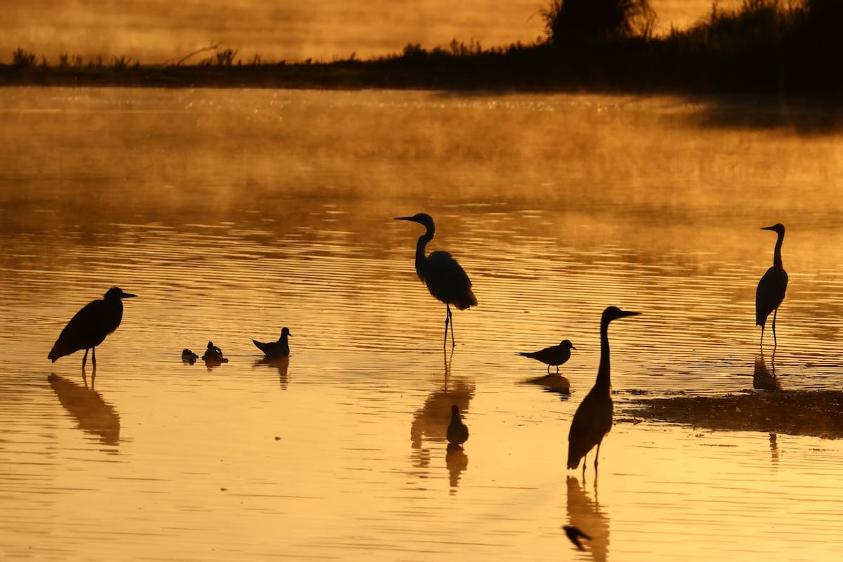 Foto: Amateurke62