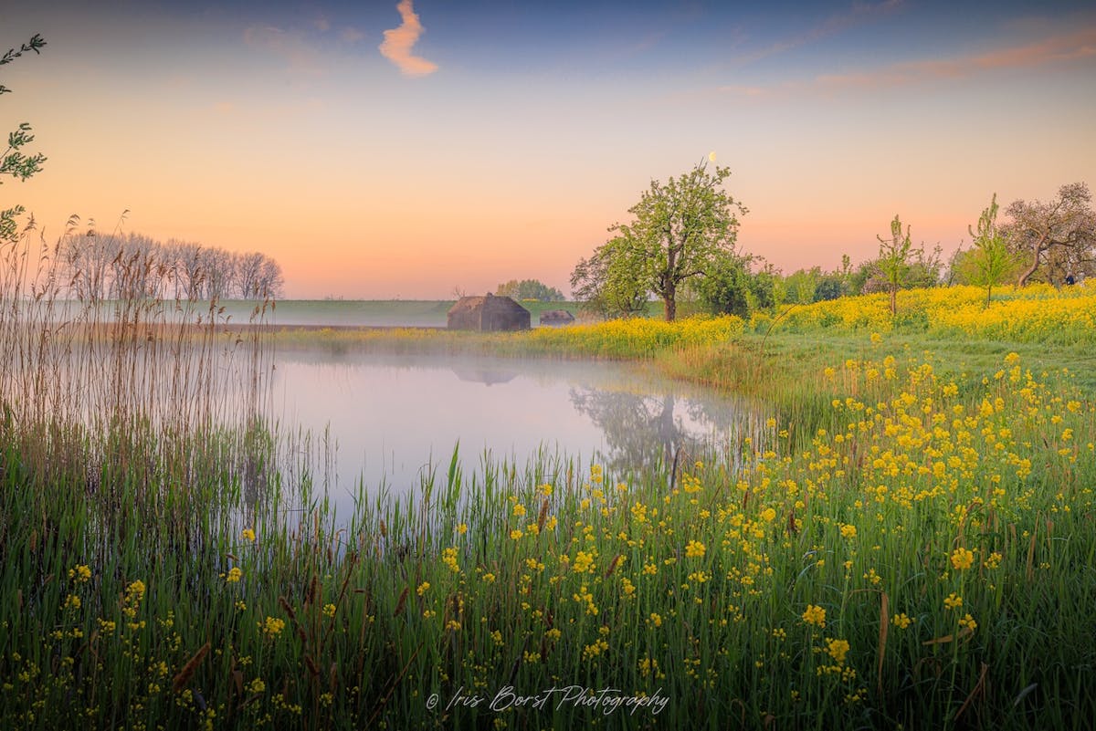 Foto: iborst