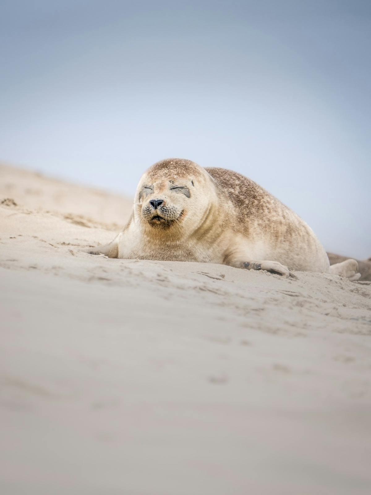 Foto: milousphotos