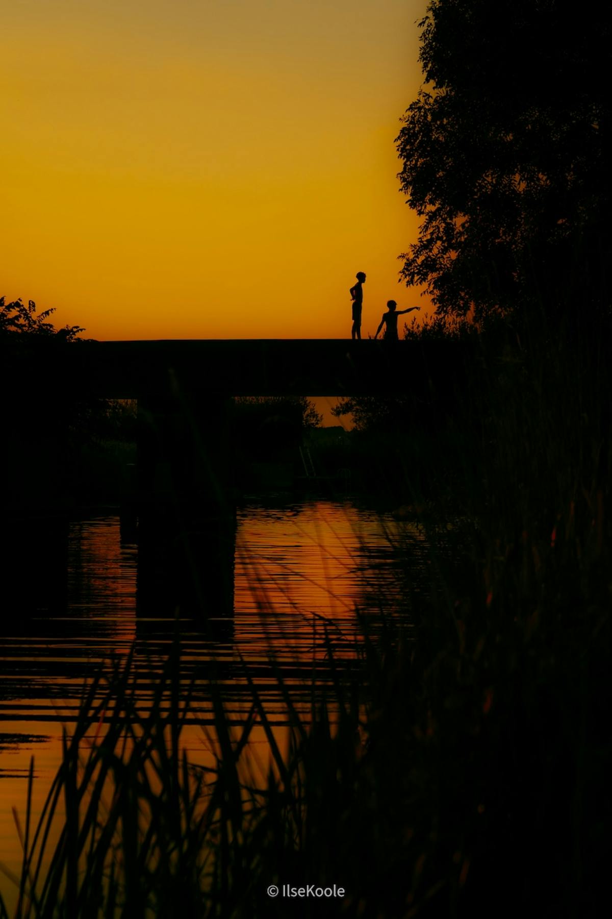 Foto: IlseKoole