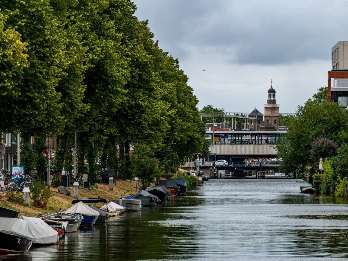 Dezelfde singel, nu met de optische 230mm-telecamera. Oppo Find X9 Ultra · F 3,5 · 1/160 sec · 230 mm (omgerekend)