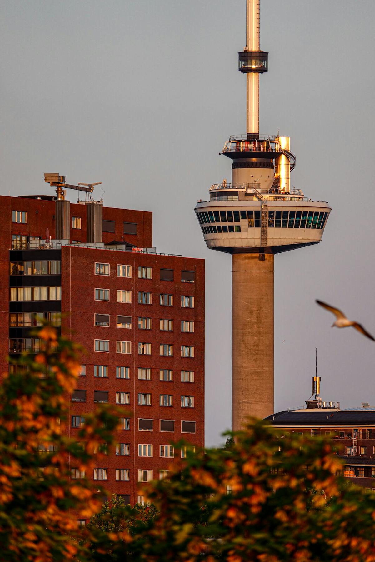 Op de 600mm-stand haal je de Euromast van kilometers ver dichtbij. Ook in avondlicht blijft het beeld gedetailleerd. ISO 100 · F 4 · 1/250 sec (omgerekend)