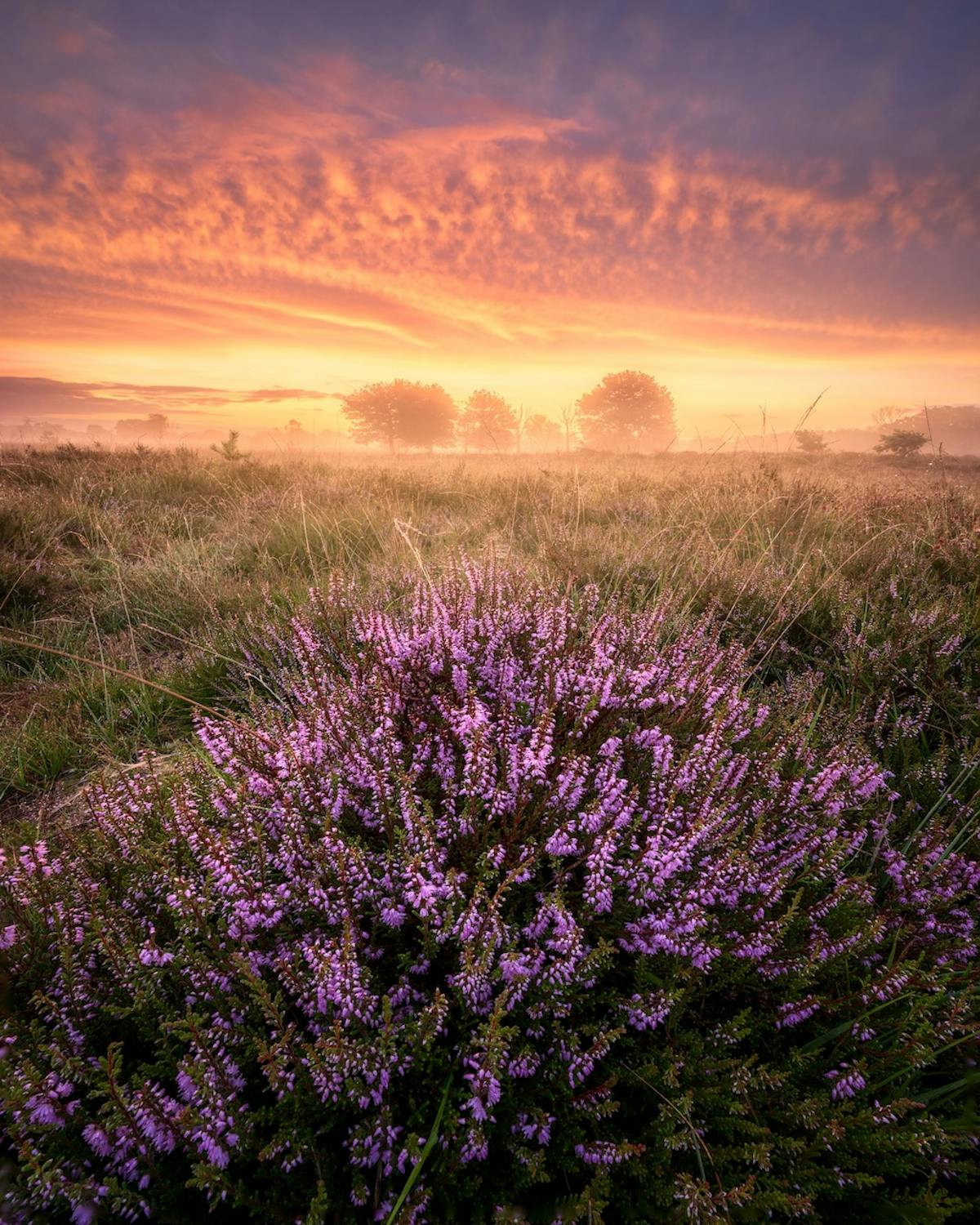 Foto: EllenvandenDoel
