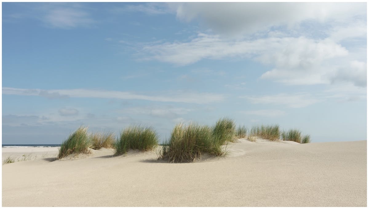 Foto: eus.fotografie-66-