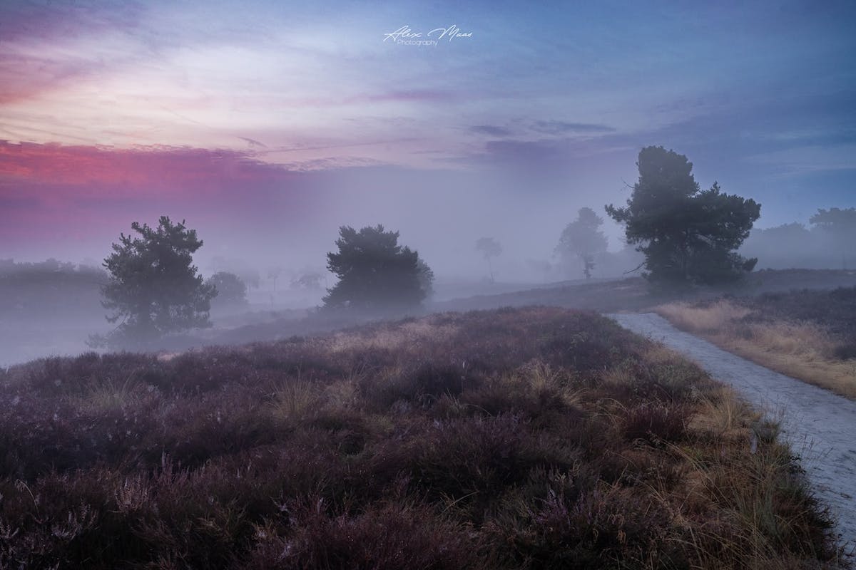 Foto: Alex-Maas1
