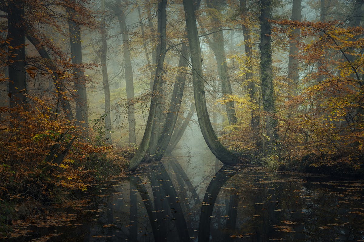 Soms wil je reflecties juist bewaren, zoals bij dit spiegelende herfstbos, ook met polarisatiefilter gemaakt. Draai het effect dan gewoon weg. Foto: HMeeuwes