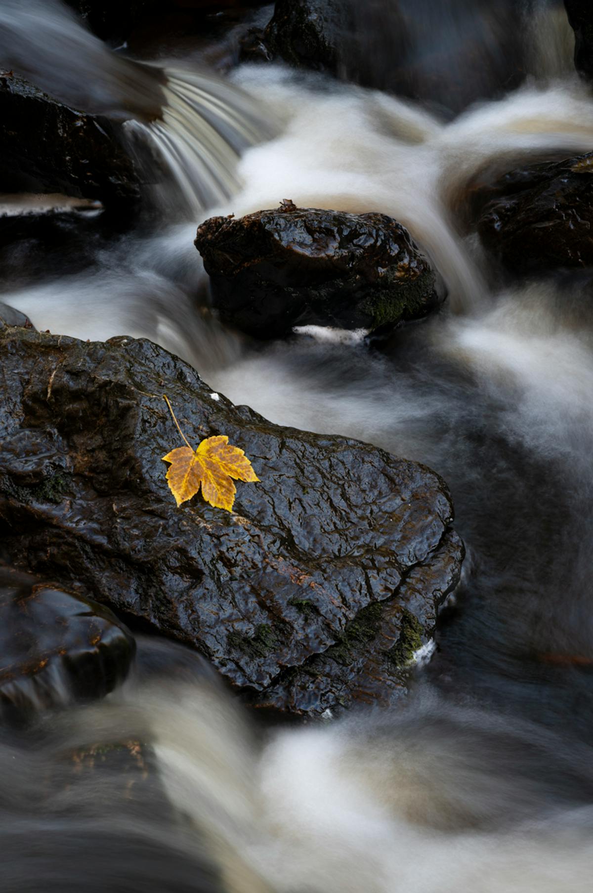Stromend water wordt zijde: voor deze beek in de Hoge Venen combineerde de maker een ND-filter met een polarisatiefilter. Foto: weimaraan