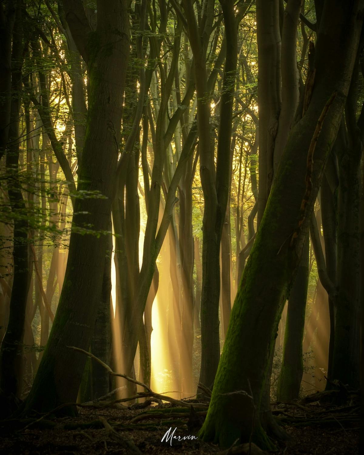 Foto: Marvinkranenburg
