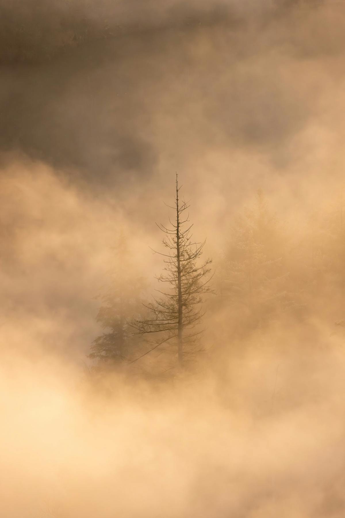 Foto: eddy-reynecke