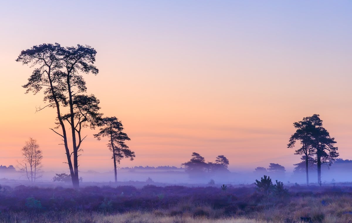 Foto: Ingridgb