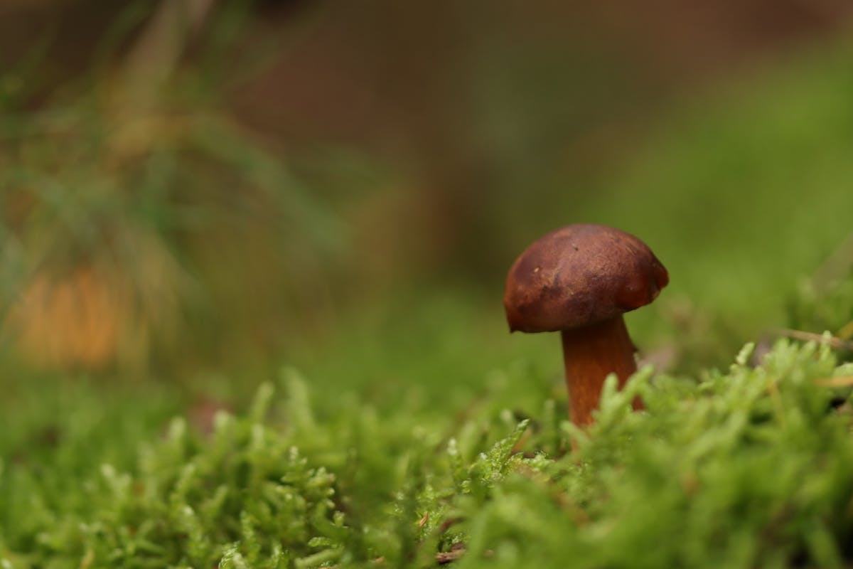 Foto: Mieke58