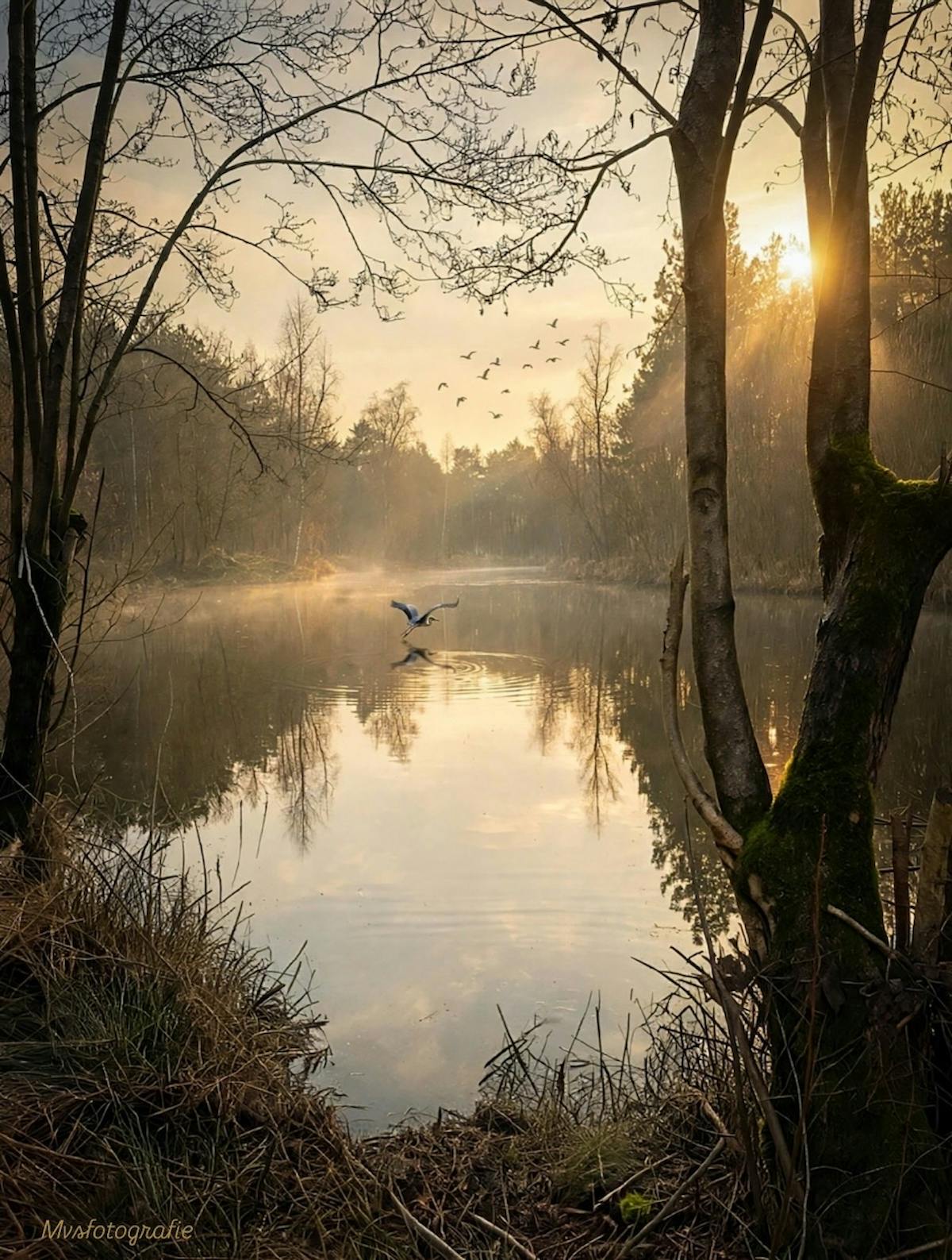 Foto: MarlonVS