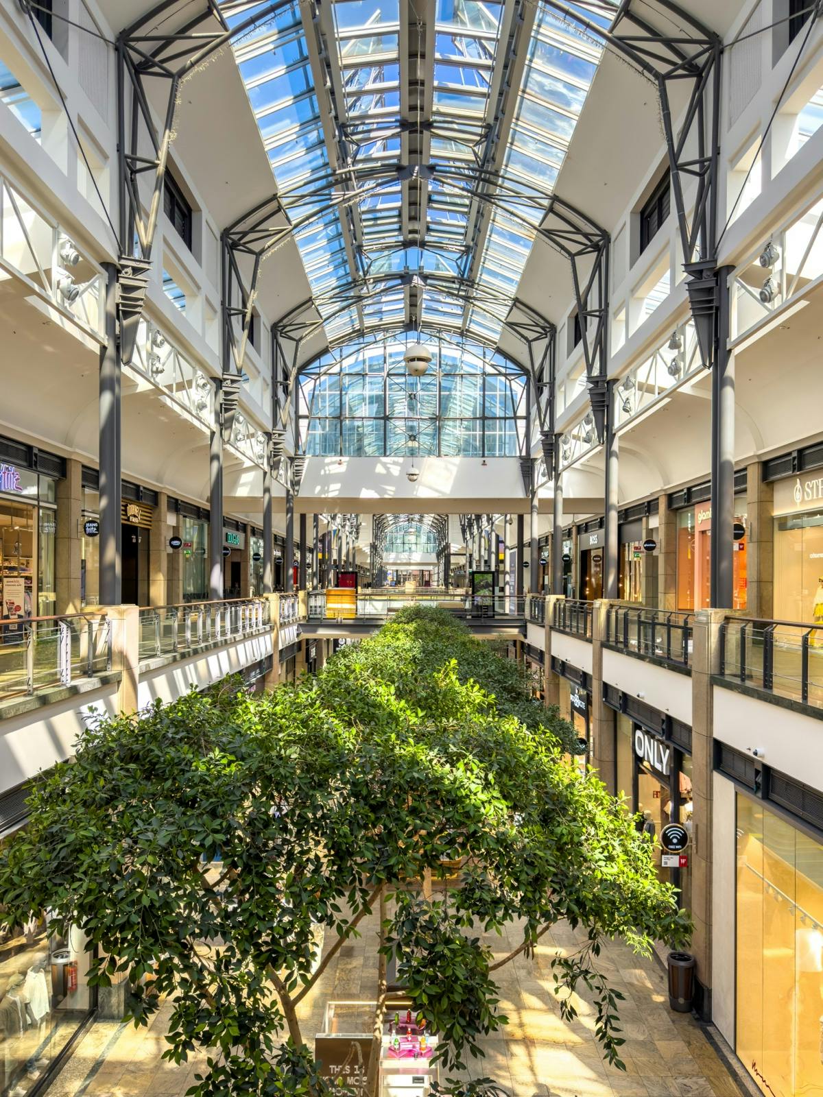 Het resultaat van een paar minuten werk met generatieve AI in Lightroom Classic.